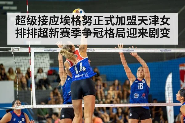 women's volleyball match