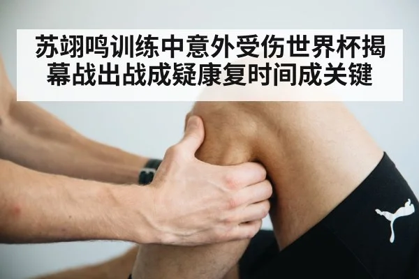 knee injury rehabilitation